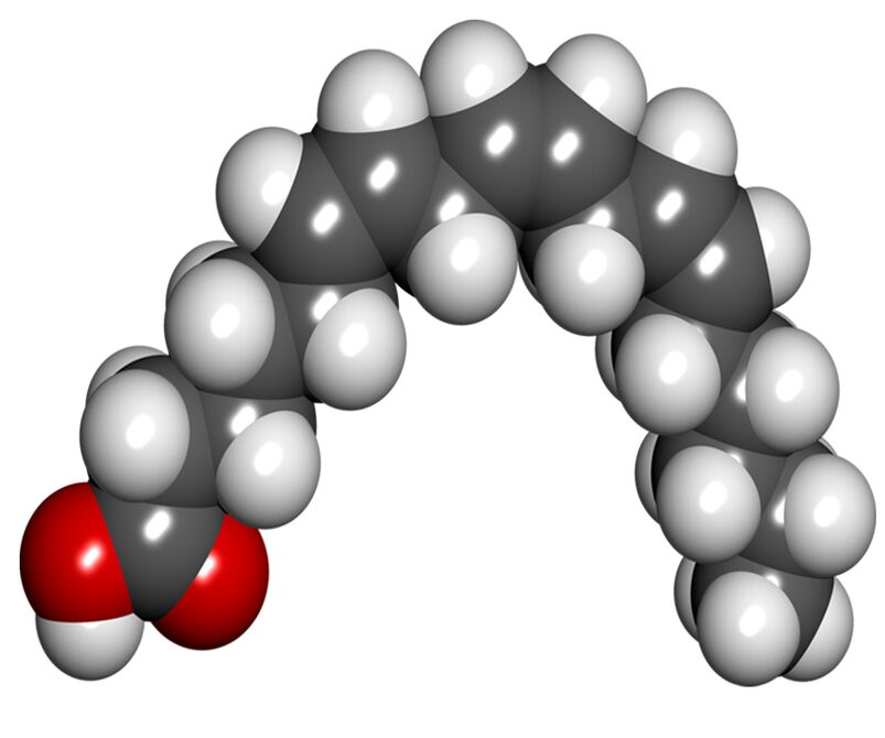 Acido gamma-linolenico in Diaform plus