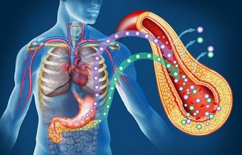 Diaform Plus gibt die Insulinsensitivität zurück